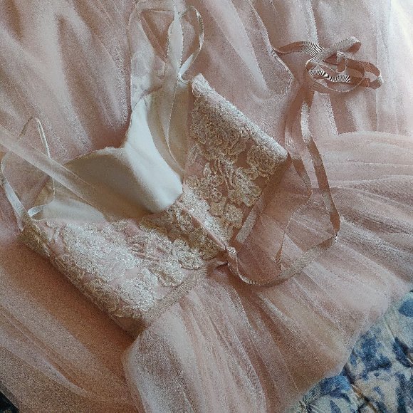 NWOT: Blush / Cashmere Pearl Beaded Lace & Tulle Ballgown with Ribbon Belt - Picture 8 of 12